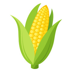 A vibrant illustration of a ripe yellow ear of corn with green husks against a clean white background
