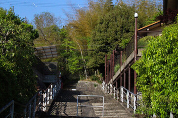 Bridge in Japan 