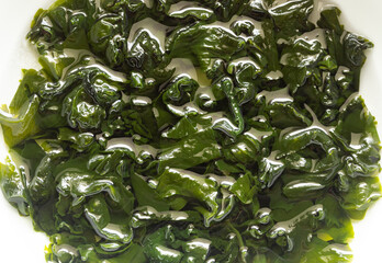 Sea mustard or wakame seaweed soaked in water