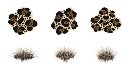 Three leopard print patches above three clumps of grass on a white background surface view art