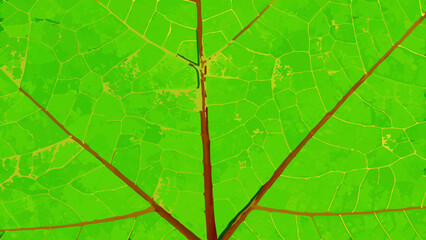 Vibrant close up of green leaf veins artistic botanical illustration transparency design