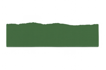 Green torn paper strip revealing transparent background, representing sustainability and environmental consciousness