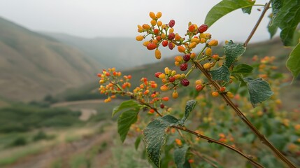 Vibrant Autumn Berries on Mountainside Bush