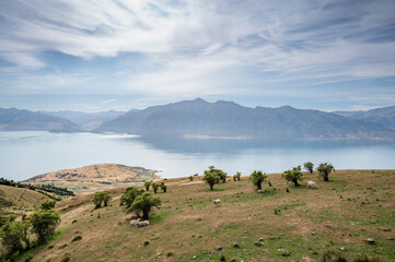 Lake Hawea view from Isthmus Peak, New Zealand