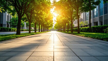 City street lined with trees on a sunny day