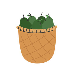 Woven brown basket filled with ripe avocados. Flat cartoon style vector illustration isolated on white background