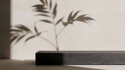 Elegant Shadow Play Minimalist Product Display with Tropical Leaf Silhouette