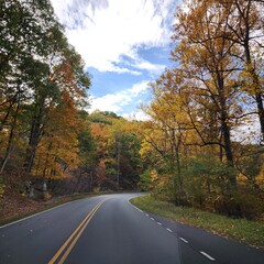 Fototapeta premium Two lane road during with Autumn colored trees