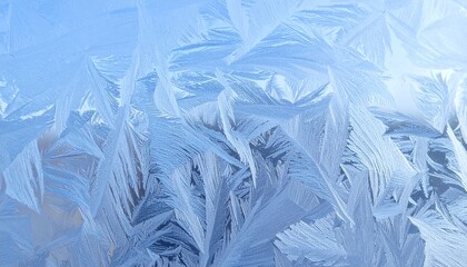 Obraz premium Intricate ice patterns and frozen fractals create a winter wonderland on a window pane with delicate crystal formations.