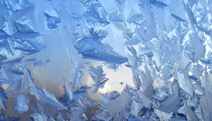 Obraz premium ice on the window