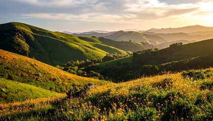 Naklejka premium Rolling hills at sunset