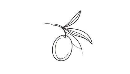 Simple olive branch line drawing