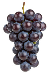 Fototapeta premium A cluster of dark purple grapes hanging naturally isolated on white or transparent background. PNG format.