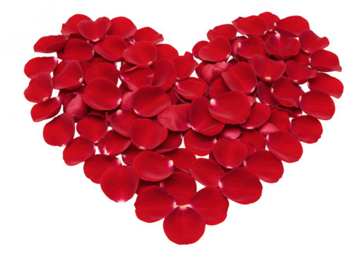 A heart shape formed by numerous red rose petals isolated on transparent background