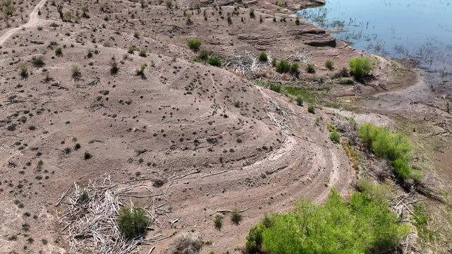 Aerial view of Alamo Lake and desert terrain, United States.