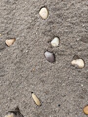 a photo of rock on the sand beach