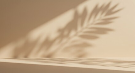 Soft beige studio backdrop with palm leaf shadow, creating a serene and minimalist aesthetic.