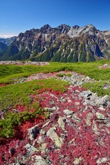 蝶ヶ岳から望む穂高連峰と槍ヶ岳