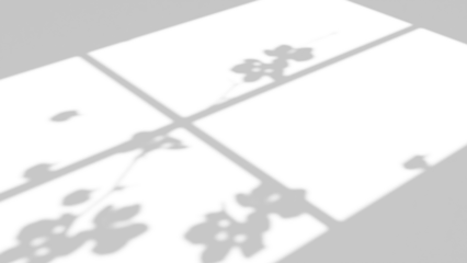 Realistic shadow overlay effect with branch flower and window on transparent background