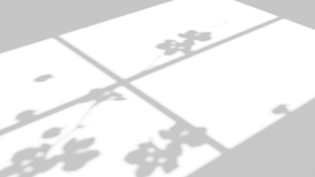 Realistic shadow overlay effect with branch flower and window on transparent background
