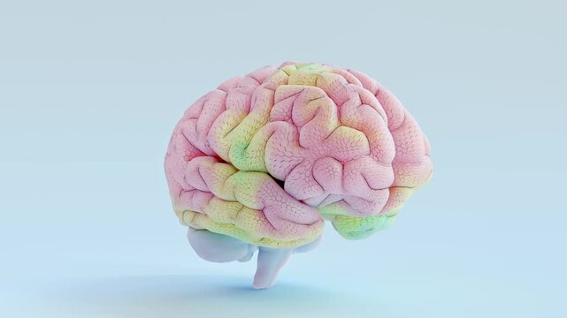 Brain working that shows creative work. Use multiple pastel colors for interest. Minimal idea concept. Animation seamless loop and Alpha Channel. 3D Render.