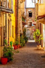 Narrow alley with potted plants in Chania, Crete