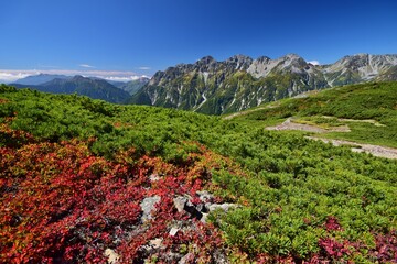 蝶ヶ岳から望む穂高連峰と槍ヶ岳