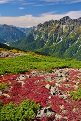 蝶ヶ岳から望む穂高連峰と槍ヶ岳