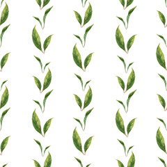 Watercolor seamless pattern with green branches. Delicate leaves for background