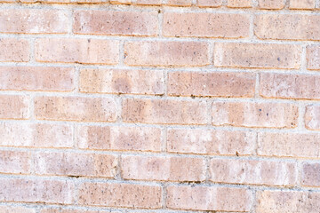 Light Brick Wall Texture④