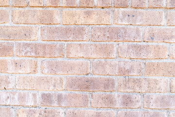 Light Brick Wall Texture③
