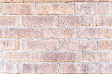 Light Brick Wall Texture②