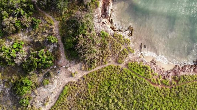 Ascending Aerial view (Drone) of a beach area with paths, green vegetation and slow seawaves. Boqueron Forest, Cabo Rojo, Puerto Rico.