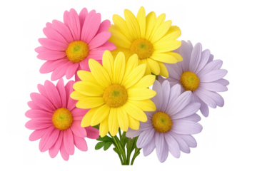 Vibrant bouquet of pink, yellow, and purple daisies with transparent background, perfect for spring and summer designs