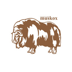 Musk Ox logo design vector. Silhouette Musk Ox Template Illustration. Icon Symbol
