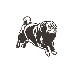 Pug Dog logo design vector. Silhouette Pug Dog Template Illustration. Icon Symbol