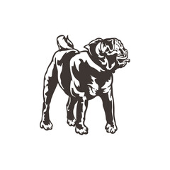 Pug Dog logo design vector. Silhouette Pug Dog Template Illustration. Icon Symbol