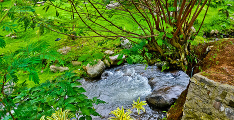 beautiful river view in tropical forest, Puncak, West Java, Indonesia