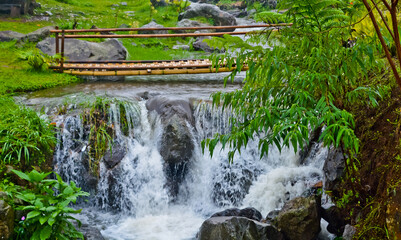 beautiful river view in tropical forest, Puncak, West Java, Indonesia