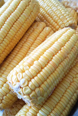 Close-Up of Fresh Yellow Corn Cobs