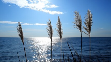 Serene coastal scene with tall grasses silhouetted against a bright blue sky and sparkling ocean