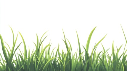 Fototapeta premium A stylized illustration of green grass blades against a clean white background