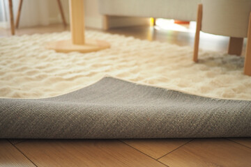 Soft gray rug partially rolled up in a cozy living room