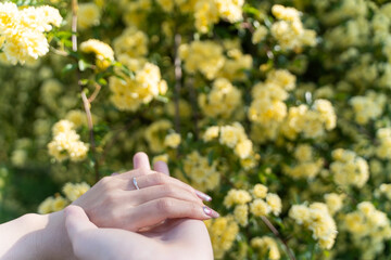 Hands with Yellow Flowers⑥