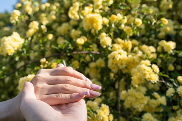 Hands with Yellow Flowers②