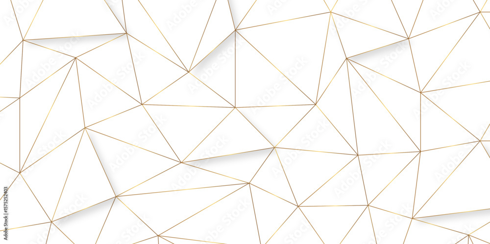 Poster abstract geometric background with connecting dots and lines with low poly triangle shapes. polygona