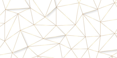 Abstract geometric background with connecting dots and lines with low poly triangle shapes. Polygonal Mesh Background Vector design digital technology concept Global network connection data structure. © Kainat 