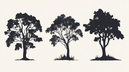 Silhouettes of three different trees (1)