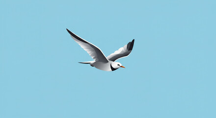 Obraz premium A graceful seagull in flight against a clear, pale blue sky.