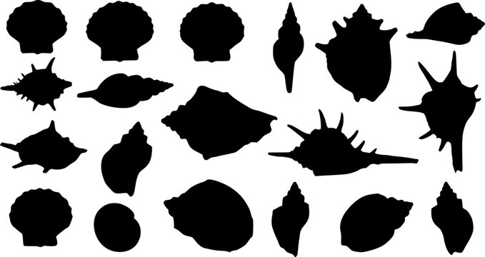 Sea shell silhouette set vector design big pack of illustration and icon
